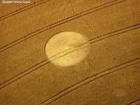 Crop circle