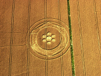 Crop circle