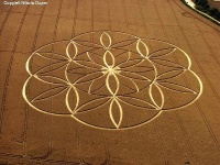 Crop circle