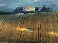 Crop circle