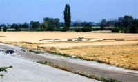 Crop circle