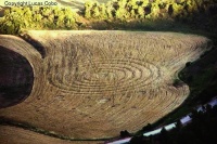 Crop circle