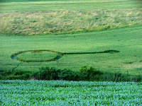 Crop circle