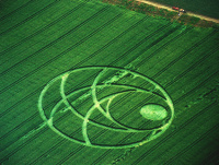 Crop circle