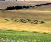 Crop circle
