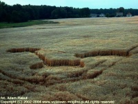 Crop circle