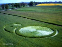 Crop circle