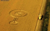Crop circle