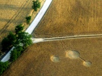 Crop circle