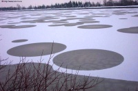 Crop circle