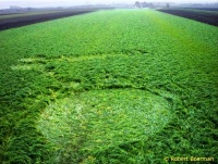 Crop circle