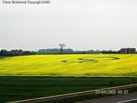 Crop circle