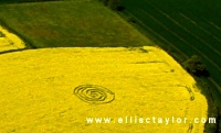 Crop circle