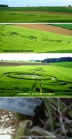 Crop circle