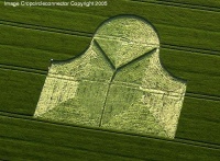 Crop circle