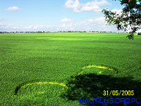 Crop circle