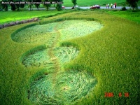 Crop circle