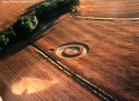 Crop circle