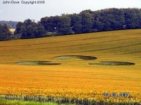 Crop circle