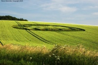 Crop circle