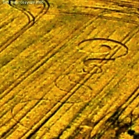 Crop circle