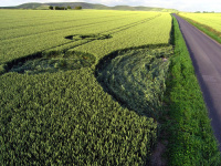 Crop circle