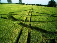 Crop circle