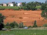 Crop circle