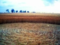 Crop circle