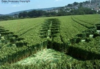 Crop circle