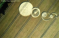 Crop circle