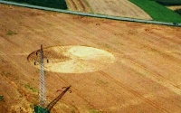 Crop circle