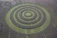 Crop circle