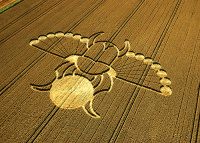 Crop circle