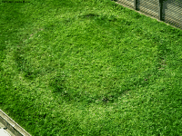 Crop circle