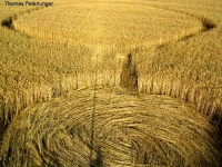 Crop circle