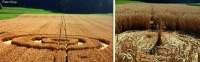 Crop circle