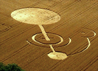 Crop circle