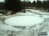 Crop circle