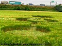 Crop circle