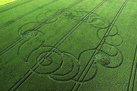 Crop circle