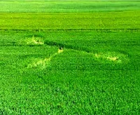 Crop circle