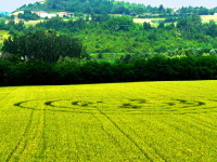 Crop circle