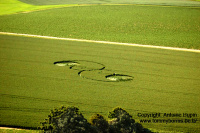 Crop circle