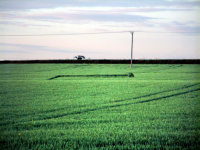 Crop circle