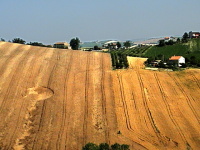 Crop circle