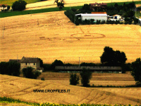 Crop circle