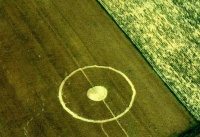 Crop circle