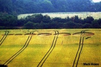 Crop circle