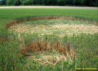 Crop circle